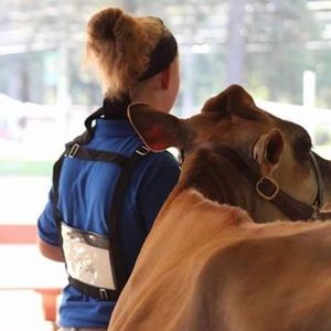 Meet your Posher, Jillian